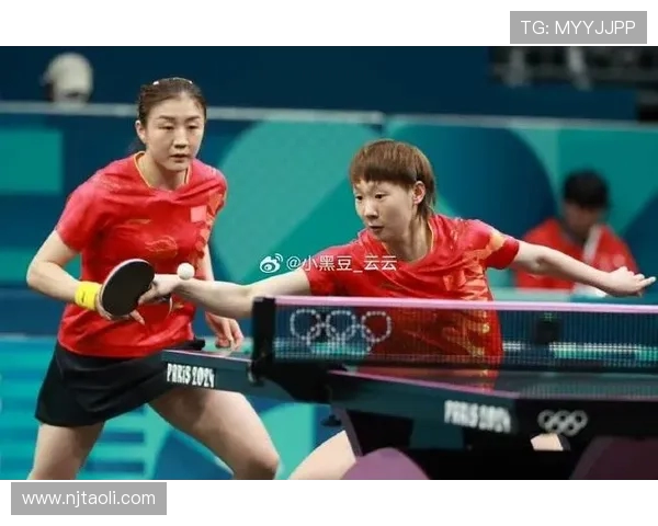 乒乓球运动的魅力与发展:从竞技场到全民健身的历史与未来趋势